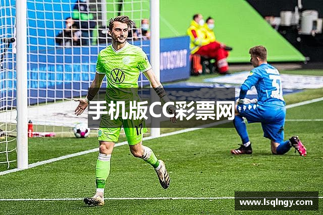 手机版CC彩票网